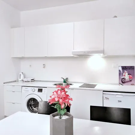 Budget Semi Basement By Athens